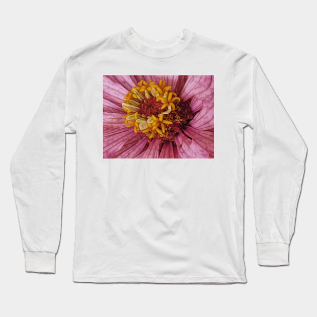 close-up of a single zinnia flower bloom in pink floral fantasy Long Sleeve T-Shirt by mister-john